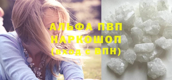 Альфа ПВП Бородино