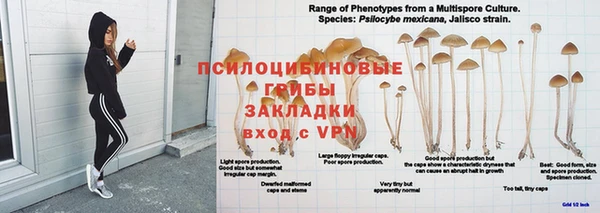 Альфа ПВП Бородино