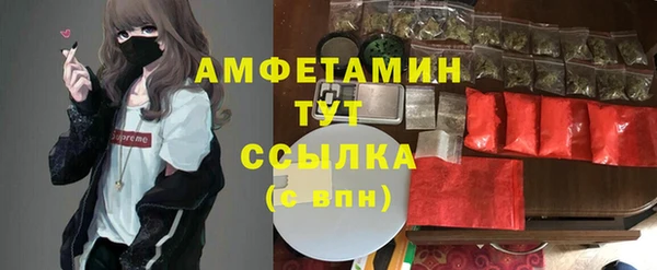 Альфа ПВП Бородино