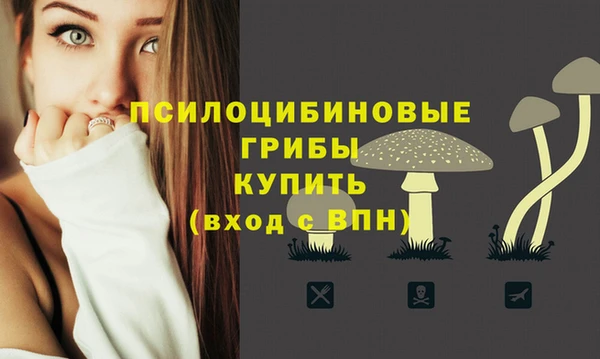 герыч Бронницы