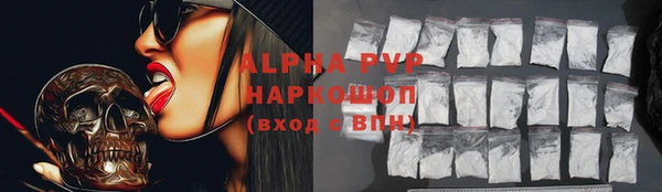 Альфа ПВП Бородино