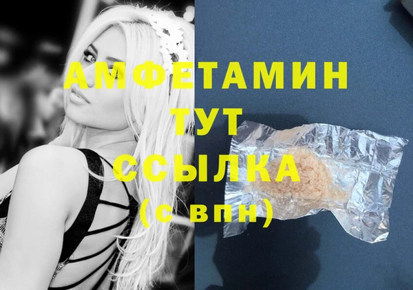 Альфа ПВП Бородино