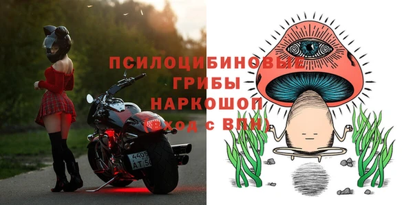 Альфа ПВП Бородино