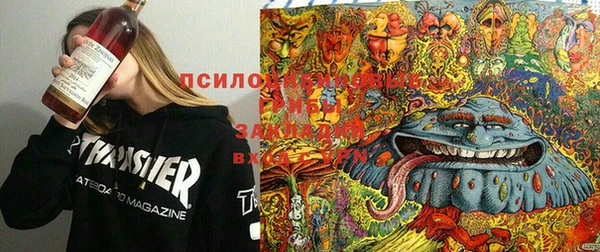 герыч Бронницы