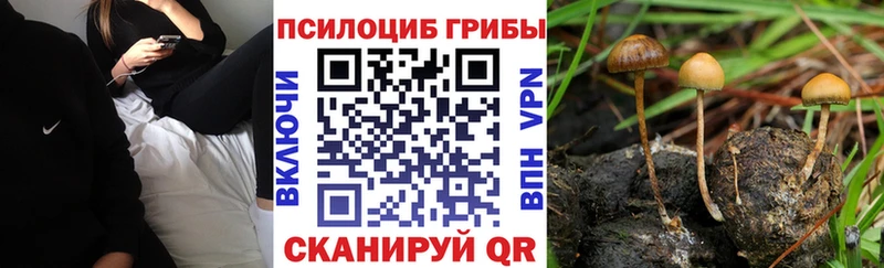 Купить закладки  Петушки  Галлюциногенные грибы GOLDEN TEACHER 